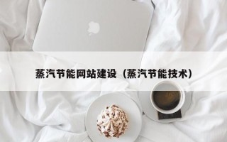 沈丘蒸汽节能网站建设（蒸汽节能技术）